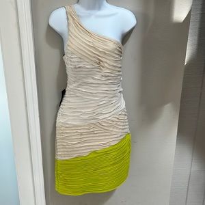 Bebe After Dark Ombré Bias Asymm Dress